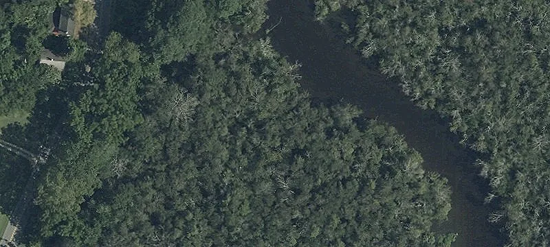 Galestown Rd