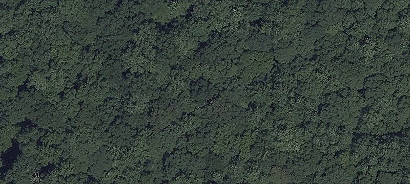 Solomons Is Rd