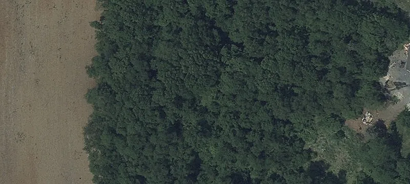 Lappans Rd
