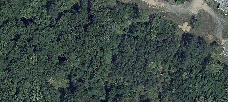 Pt Lookout Rd