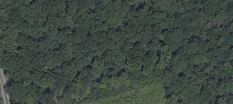 Horsehead Rd
