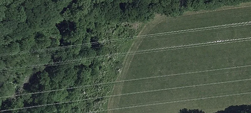 Rte 136