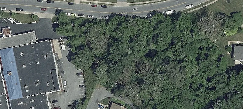 Scott Adam Rd