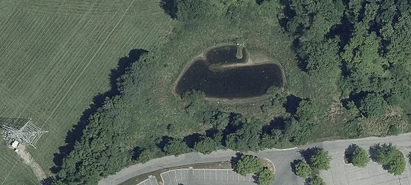 Old Dobbin Ln