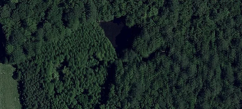 Sheephouse Rd