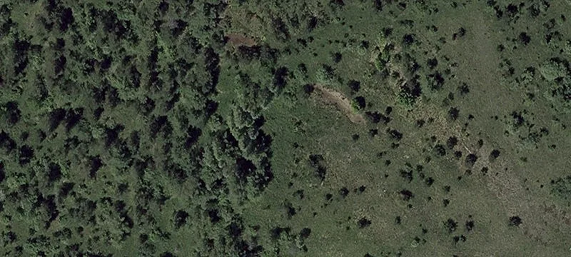 264 Mt Zion Rd