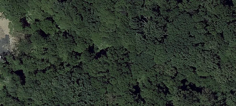 3809 Federal Hl Rd