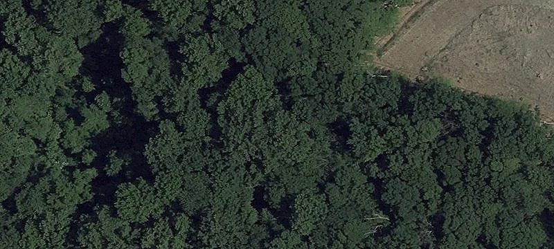 Van Bibber Rd