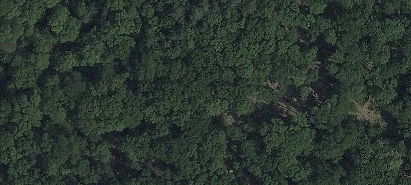 20715 Wagner Cutoff SE Rd