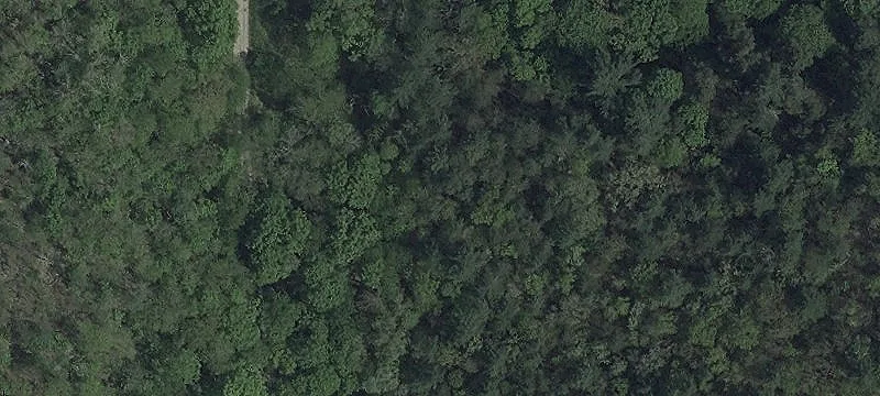 Mexico Farms Rd