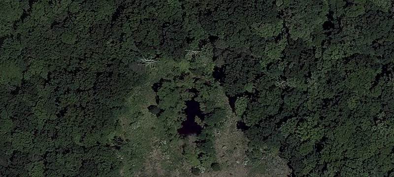 Red Toad Rd