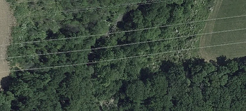 Falling Br Rd