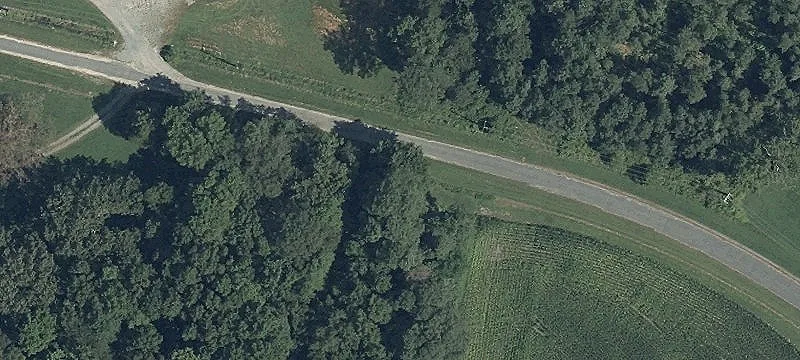 Curtis Chapel Rd