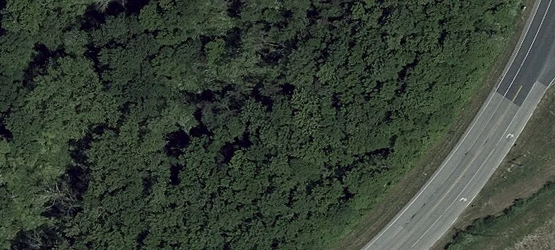 Coudon Blvd