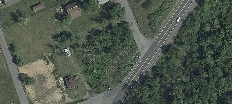Cellulose Ave