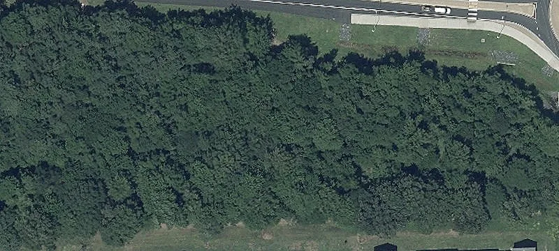 Rt 16