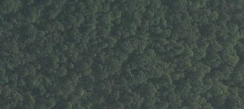 Bear Pond