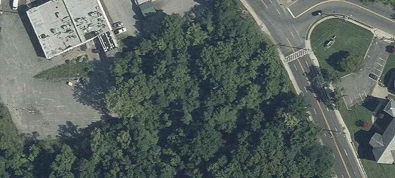 Livingston Rd