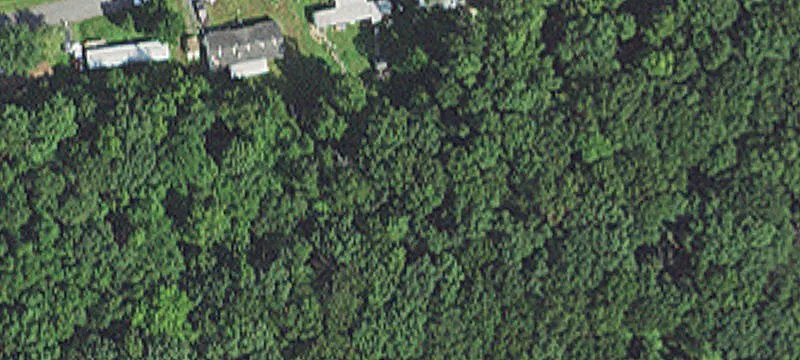 Magnolia Rd