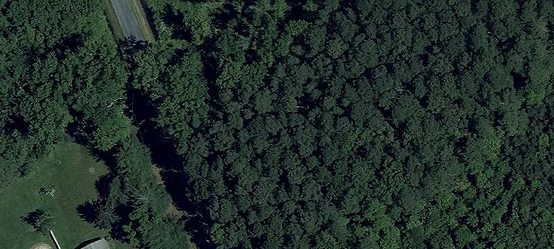 Dun Swamp Rd