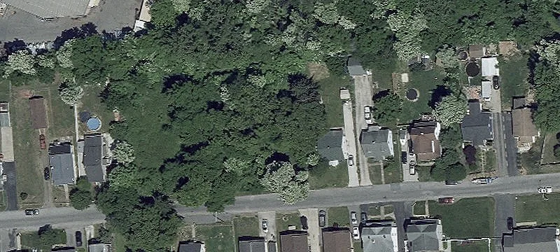 Arbutus Ave