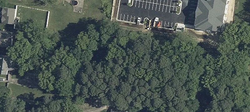 Cox Nck Rd