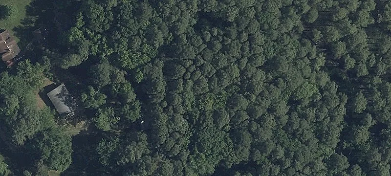 Piney Crk Rd