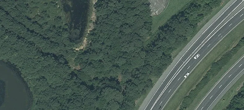 Disharoon Rd