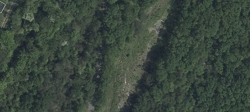 10500 Wills Mtn Rd