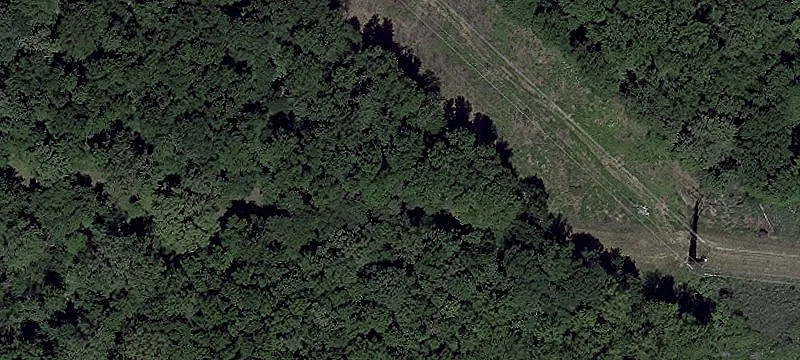 Elkton Rd