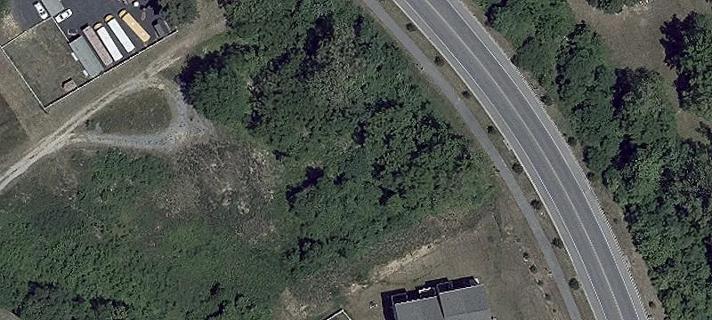 Paulowina Ln