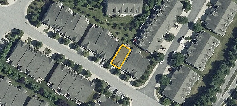 Calla Lilly Dr