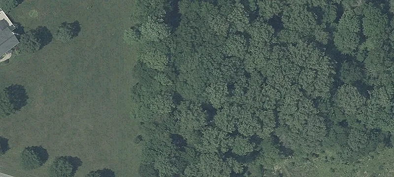 2437 Flag Marsh Rd