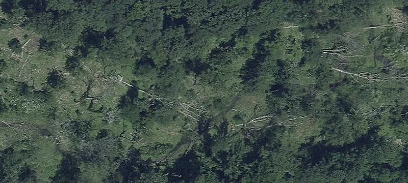 Augustine Herman Hwy