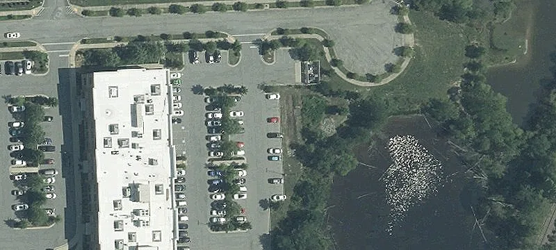5 La Plata Ct