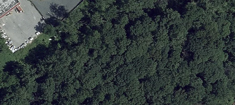 1037 Nursery Rd