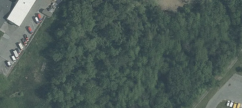 106 Jamison Ct