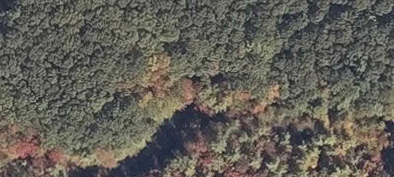 Lewis Rd