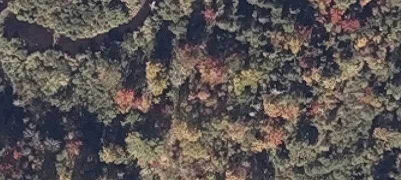 252 Vlg Rd