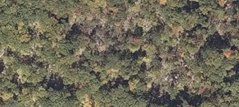 33 Kennedy Ln