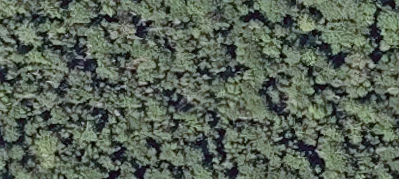 272 Campground Rd