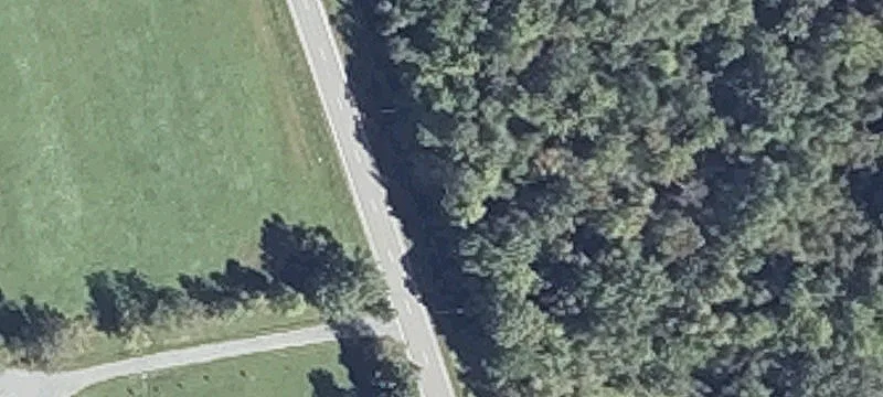 367 Saint Albans Rd