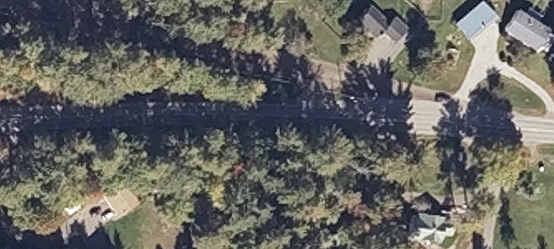 889 Elm St