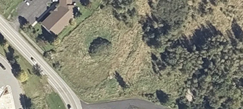Longview Dr