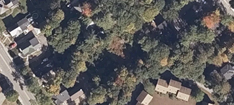 Harrison Ave