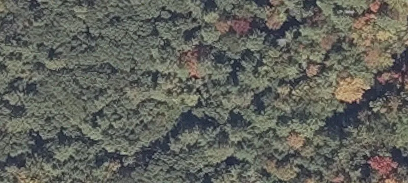 Lighthouse Rd