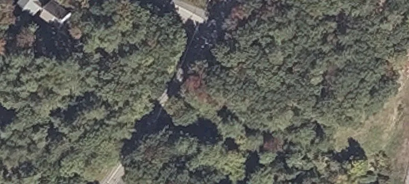 4 Cat Mtn