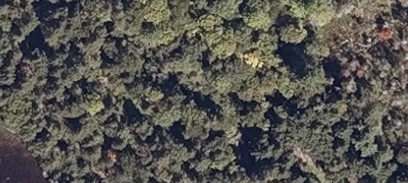 Airline Rd