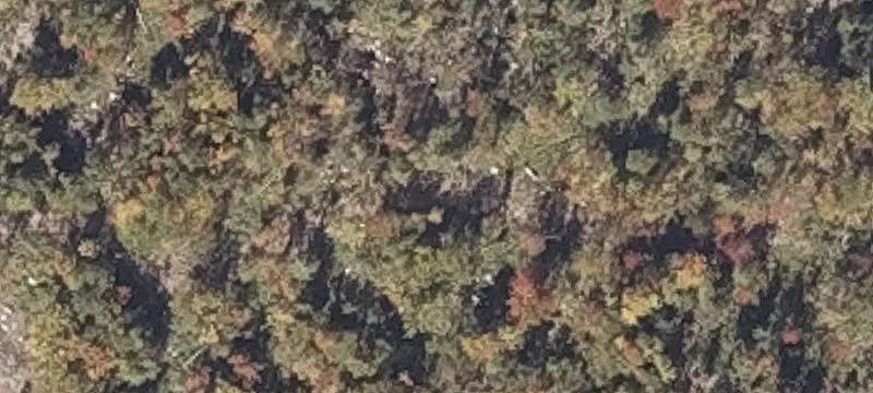 Patch Mtn Rd
