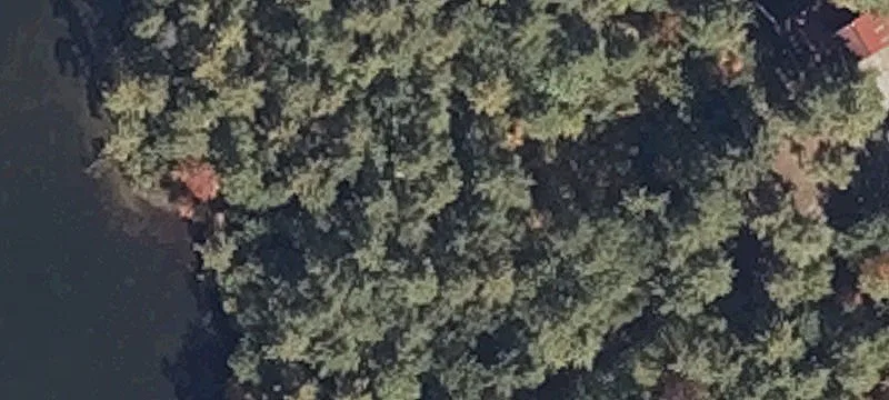 Rte 113